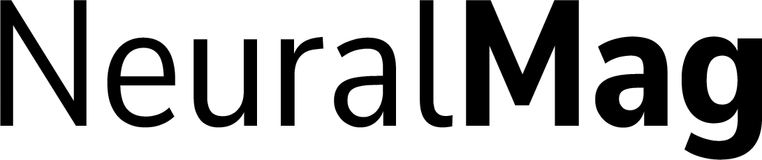 NeuralMag 1.0.0 documentation - Home